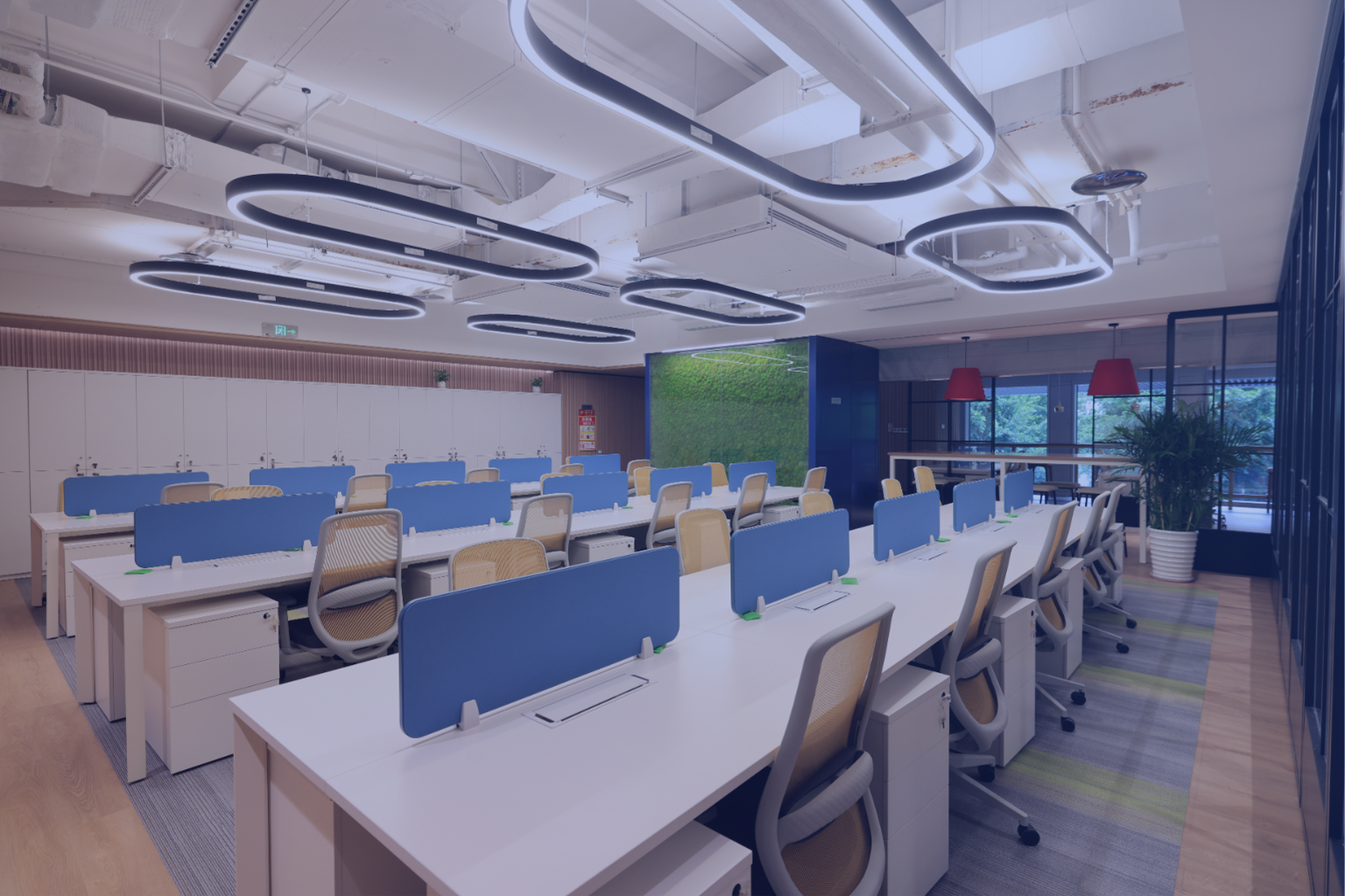 未命名的设计 (2).png